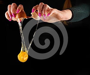 Yolk dropping from cracked raw egg divided by woman hands.