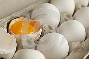 Yolk in a eggshell