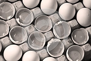Yolk among many white eggs