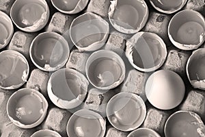 Yolk among many white eggs