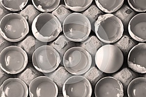 Yolk among many white eggs