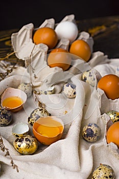 Yolks of broken chicken egg in eggshell and several chicken and