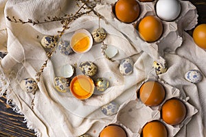 Yolks of broken chicken egg in eggshell and several chicken and