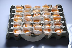 Yolks in a carton of eggs