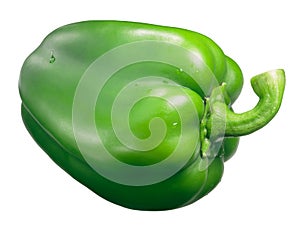 Yolo wonder sweet bell pepper, green