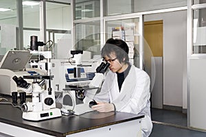 Yong student use microscope