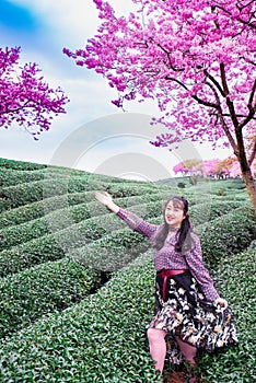 Yongfu Cherry Blossom Garden