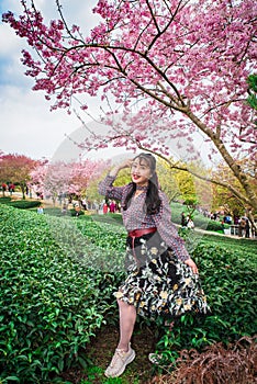 Yongfu Cherry Blossom Garden