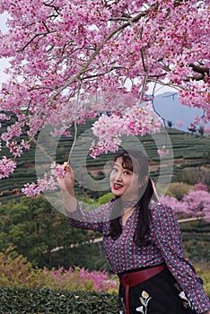 Yongfu Cherry Blossom Garden