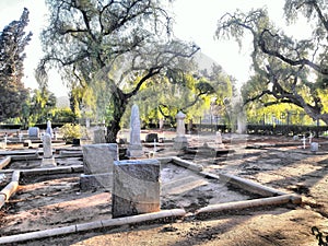 Yorba Linda Historic Cemetery photo