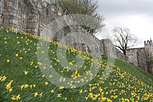 York City Walls in Spring UK