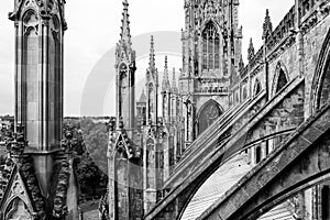 York Minster Cathedral in York. Yorkshire, England