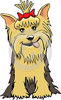 Yorkie cartoon