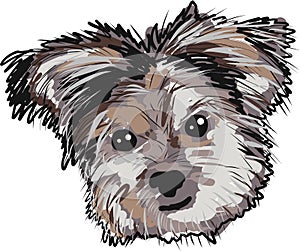 Yorkie dog vector clip-art image illustration