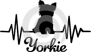 Yorkie frequency silhouette