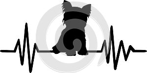 Yorkie heartbeat silhouette