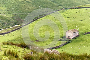 Yorkshire Dales with barn