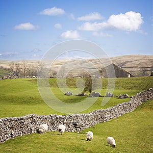 Yorkshire Dales with Dry Stone Wall