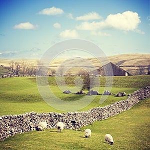 Yorkshire Dales with Dry Stone Wall