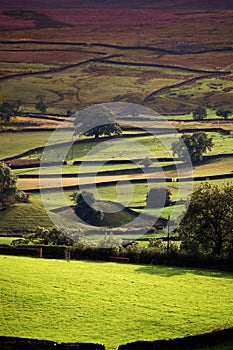 Yorkshire dales in evening sun