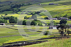 Yorkshire Dales - Farmland - England