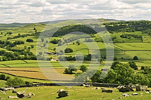 Yorkshire Dales, hay meadows photo