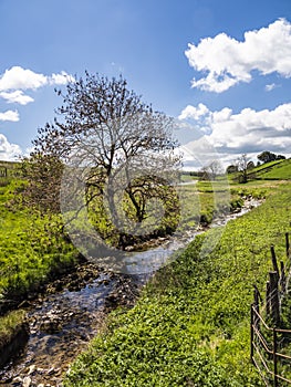 Yorkshire Dales - Hetton Common Beck