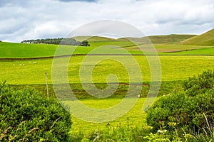 Yorkshire Dales, landscape in Summer, England, United Kingdom