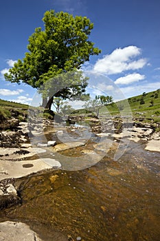 Yorkshire Dales National Park - England photo
