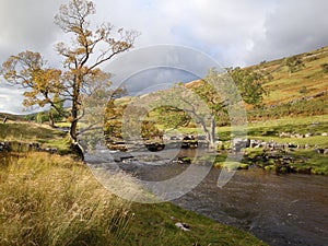 Yorkshire Dales National Park stream