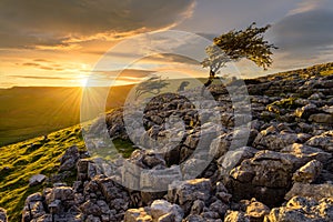 Yorkshire Dales Sunset At Twistleton Scar Limestone Rock Pavements.