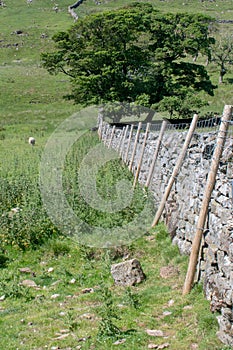 Yorkshire dry stone walling