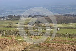 A Yorkshire Hill Farmer tending his Sheep with a Landrover.