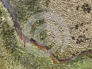 Yorkshire moorland stream discoloured by iron