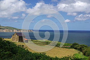 The Yorkshire Moors coast