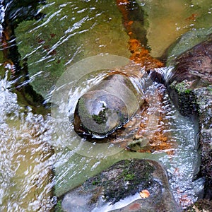 A Yorkshire stream flowing around rocks