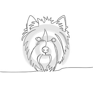 Yorkshire Terrier, British dog breed, companion dog, hunting dog one line art. Continuous line drawing of friend, dog
