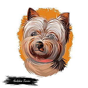 Yorkshire Terrier dog breed portrait isolated on white. Digital art illustration, animal watercolor drawing of hand drawn doggy