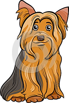 Yorkshire terrier dog cartoon illustration