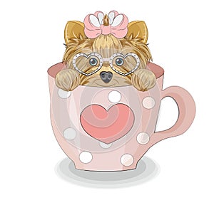 Yorkshire terrier dog in cup