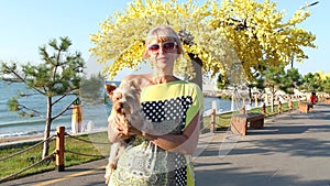 Yorkshire terrier dog in the hands of a cute woman who loves her pet. walking the dog in the park