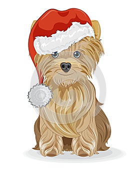 Yorkshire terrier dog in santa hat