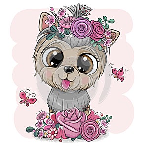 Yorkshire Terrier with flowers on a pink background