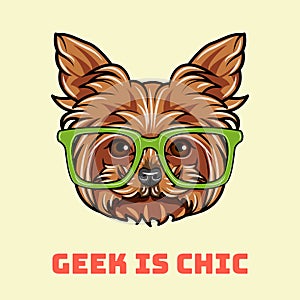 Yorkshire Terrier geek. Smart glasses. Dog nerd. Geek is chic text. Vector.