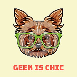 Yorkshire Terrier geek. Smart glasses. Dog nerd. Geek is chic text. Vector. photo