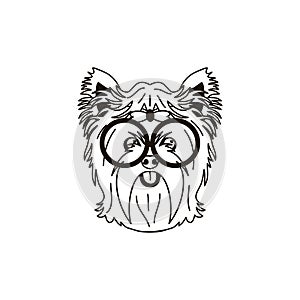 Yorkshire terrier head wearing glasses isolated on white background. Cartoon yorkie dog puppy icon vector. Hand drawn