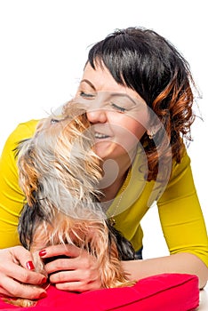 Yorkshire terrier kisses his favorite mistress