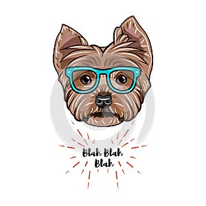 Yorkshire terrier nerd. Smart glasses. Dog geek portrait. Vector.