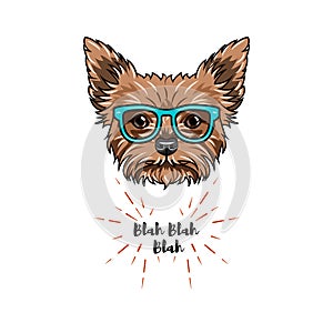 Yorkshire terrier nerd. Smart glasses. Dog geek. Yorkshire terrier portrait. Vector.