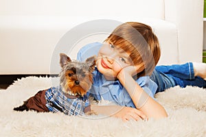 Yorkshire Terrier in pullover with boy on carpet